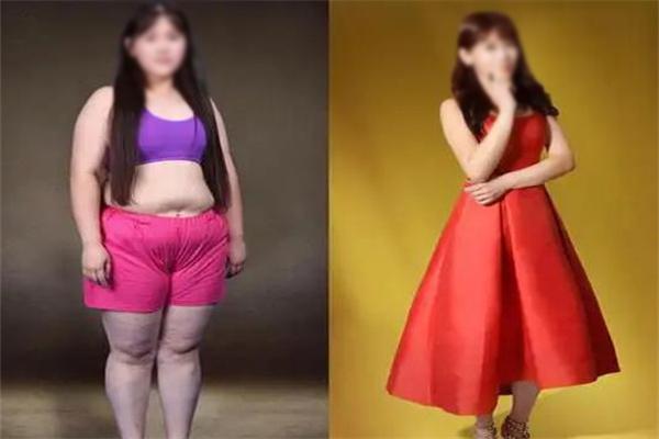 三叶草减肥