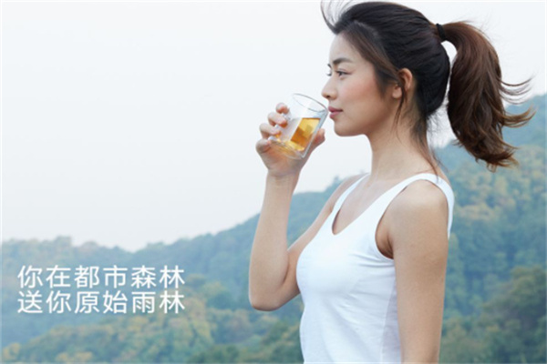雨林茶叶