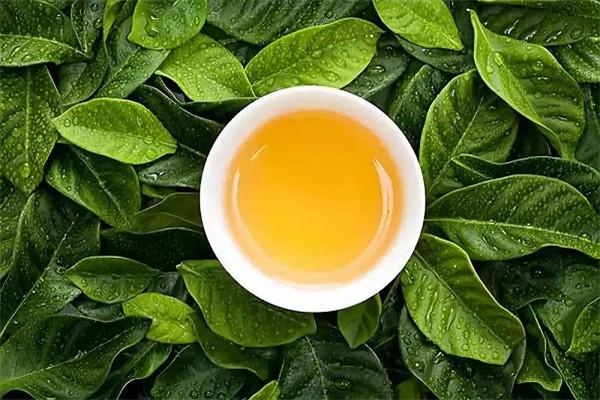 飘香茶坊