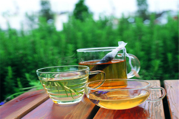 蜀竹茶业
