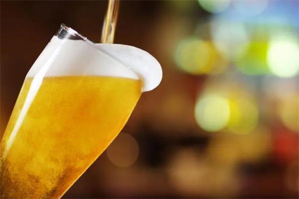 韦恩啤酒