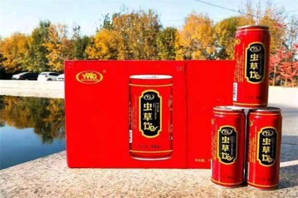 t元虫草饮