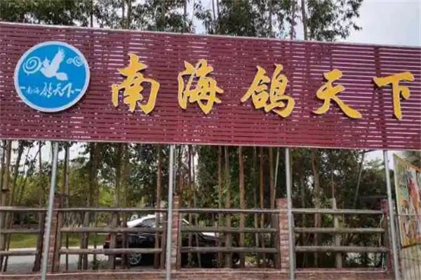 南海鸽天下
