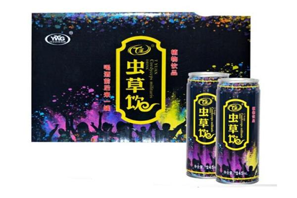 t元虫草饮