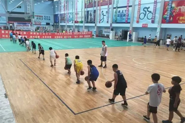 尚阳少儿篮球