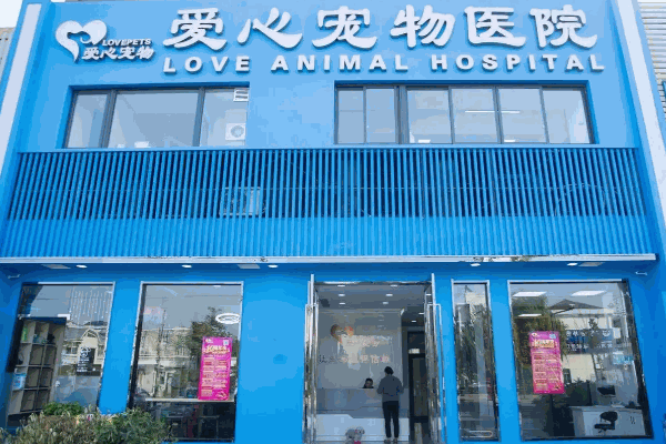 大嘴狗宠物医院
