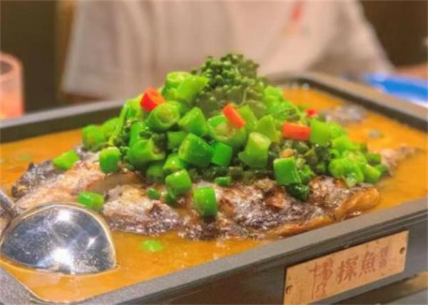 探鱼