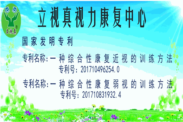 立视真视力