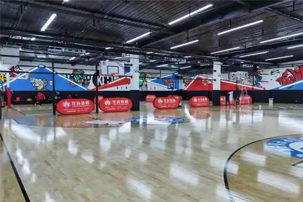 百灵鸟莘吴篮球公园
