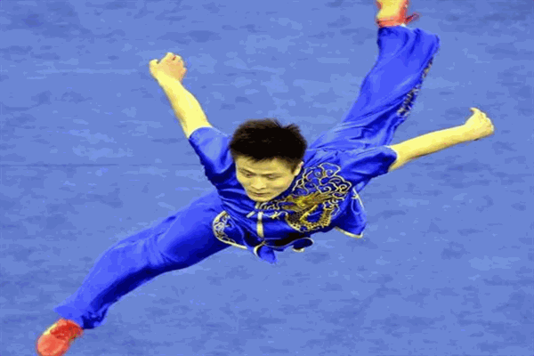 华奥武术