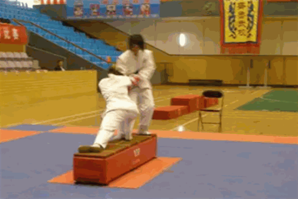 华奥武术