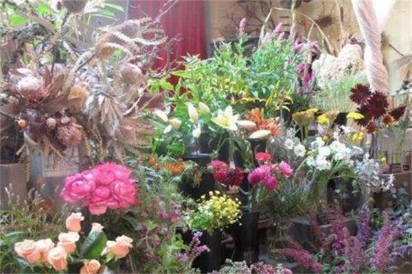 袭人鲜花加盟