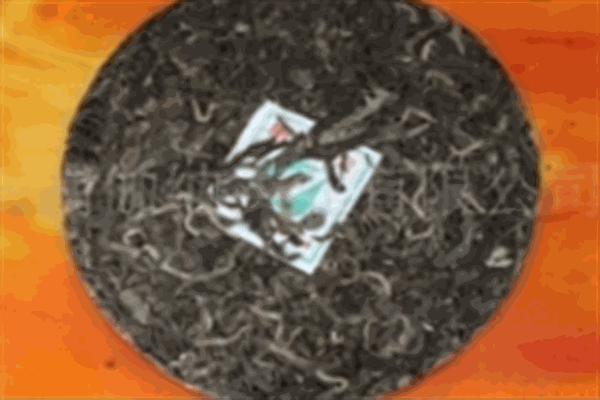 共茗饮品
