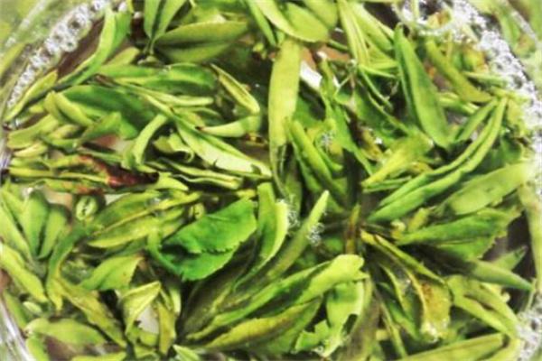 知己茶叶加盟