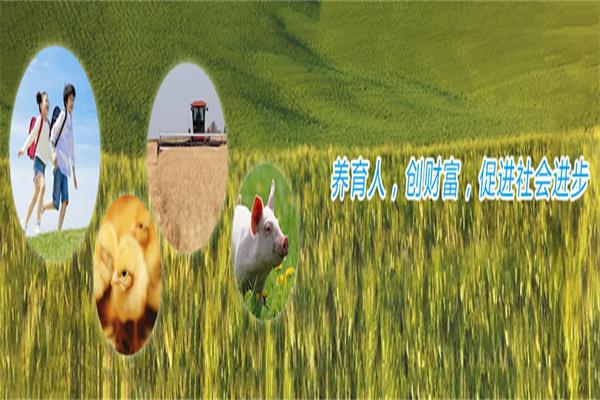 新希望六和饲料