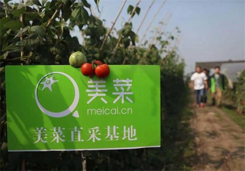 美菜城市