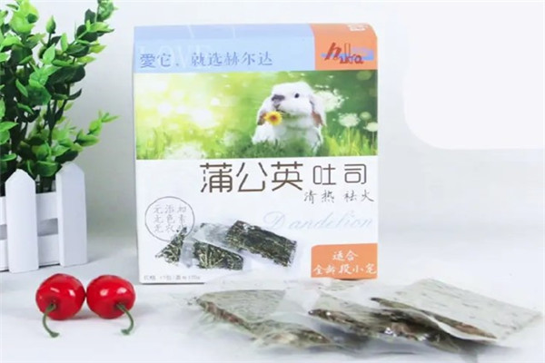 风吹蒲公英休闲零食