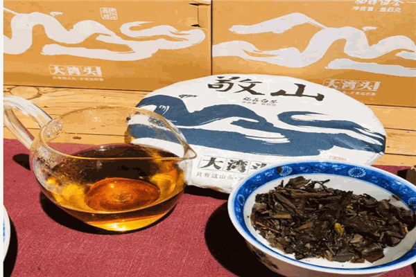 大湾头白茶