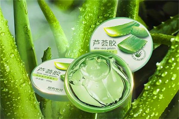 昭荟芦荟