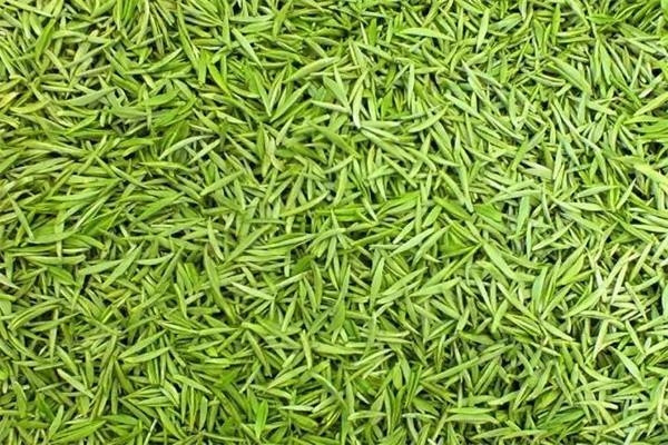 亚麻名茶