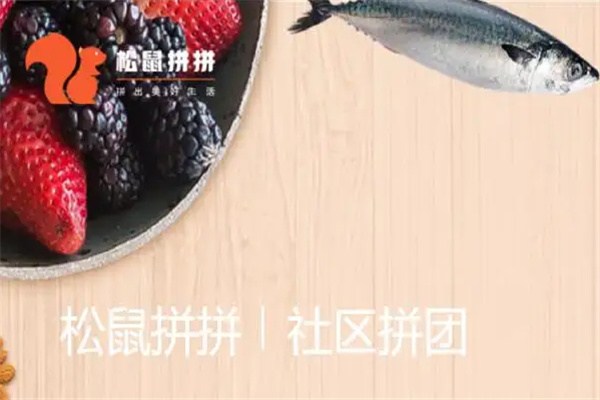 松鼠拼拼社区团购加盟
