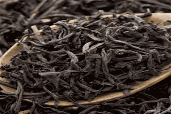 飘香茶苗茶叶