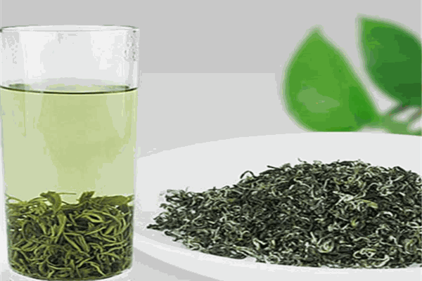 飘香茶苗茶叶