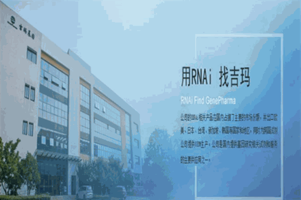 吉玛基因