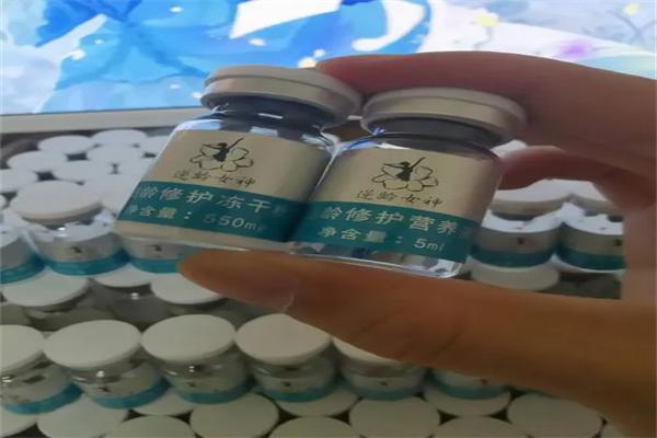 逆龄清湷干细胞