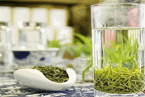 飘香茶苗茶叶