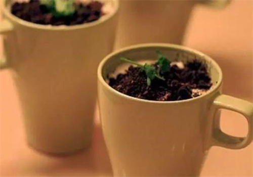 这茶奶茶
