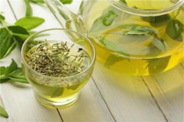 飘香茶苗茶叶