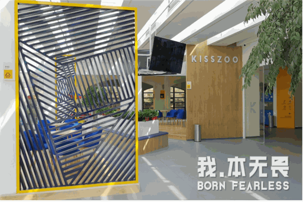 黑鲨运动成长中心