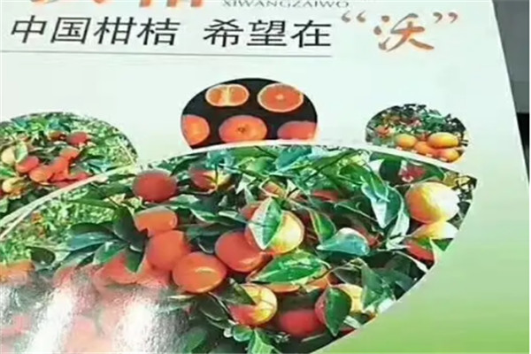 绿康果业加盟