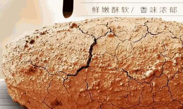 须水邓记叫花鸡