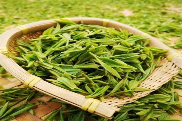 瀚臣茶业加盟