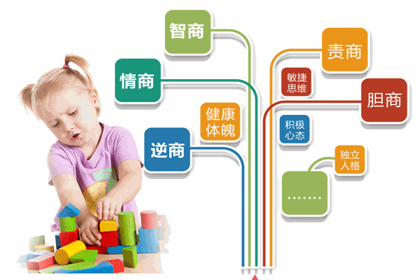 布尔思维运动馆