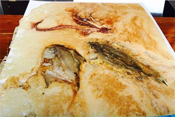 化石饼