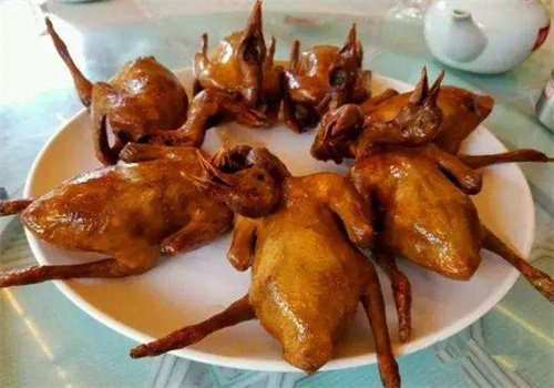 光明乳鸽