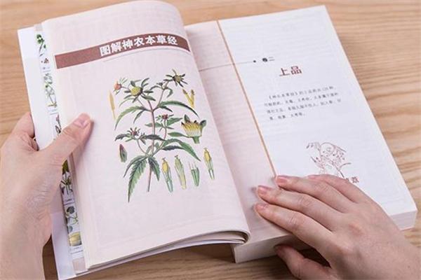 天承本草