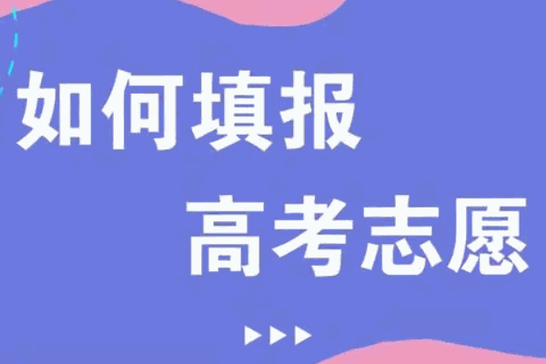 高考圈高考志愿填报咨询