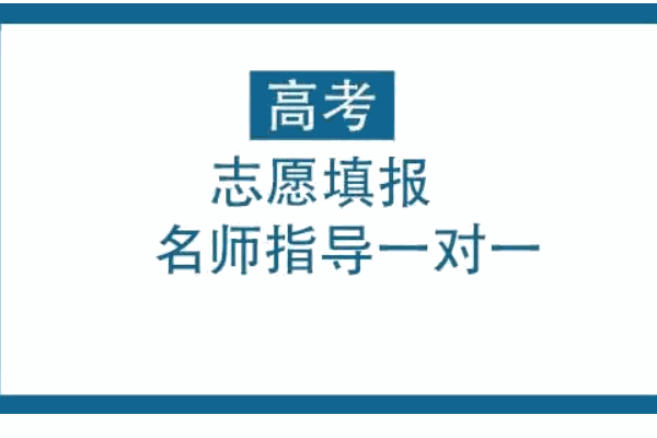 高考圈高考志愿填报咨询