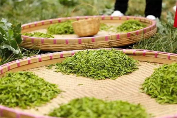 回品茶业加盟