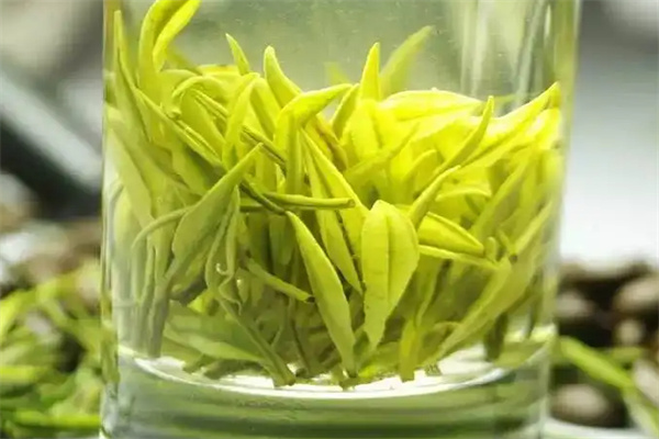 回品茶业加盟
