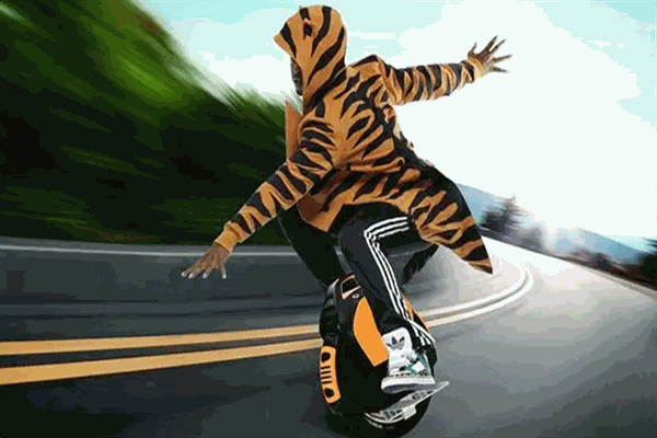 逍遥游独轮车