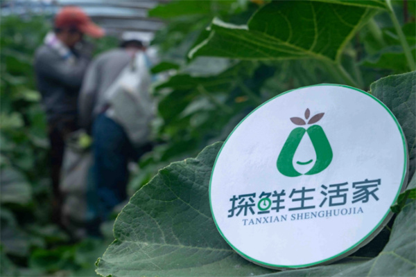 探鲜生活家水果加盟