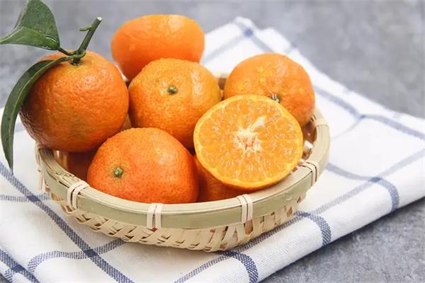 寻味优果