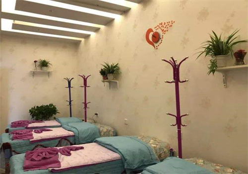 芝麻瘦身中药减肥