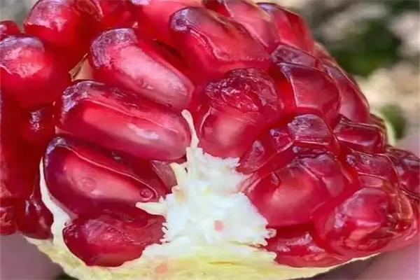 寻味优果