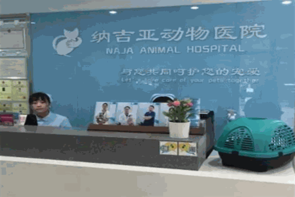 纳吉亚动物医院